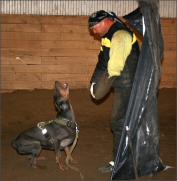 Training in Estonia 11/2007